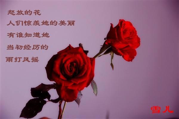 素如春梅，艷若朝霞——來自遠東的敬意